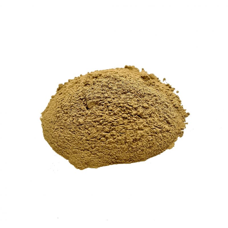 Amla - Poudre BIO 100% pure