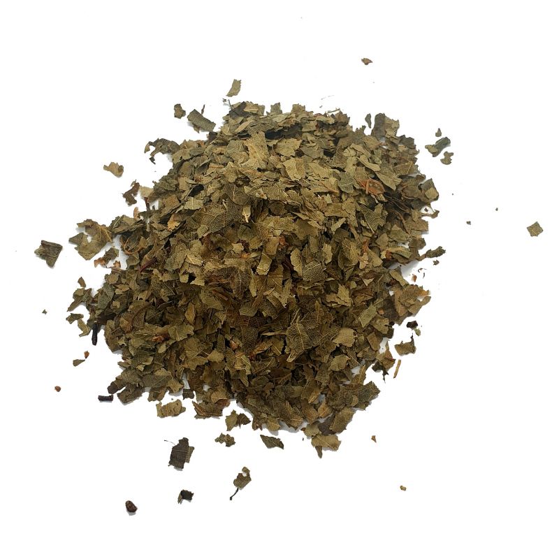 Bouleau - feuilles coupées