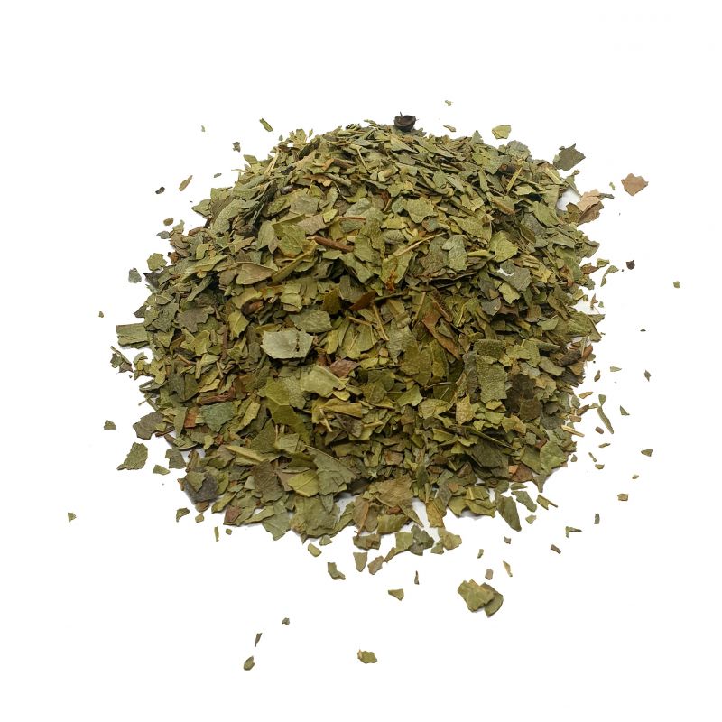 Boldo - feuilles coupées