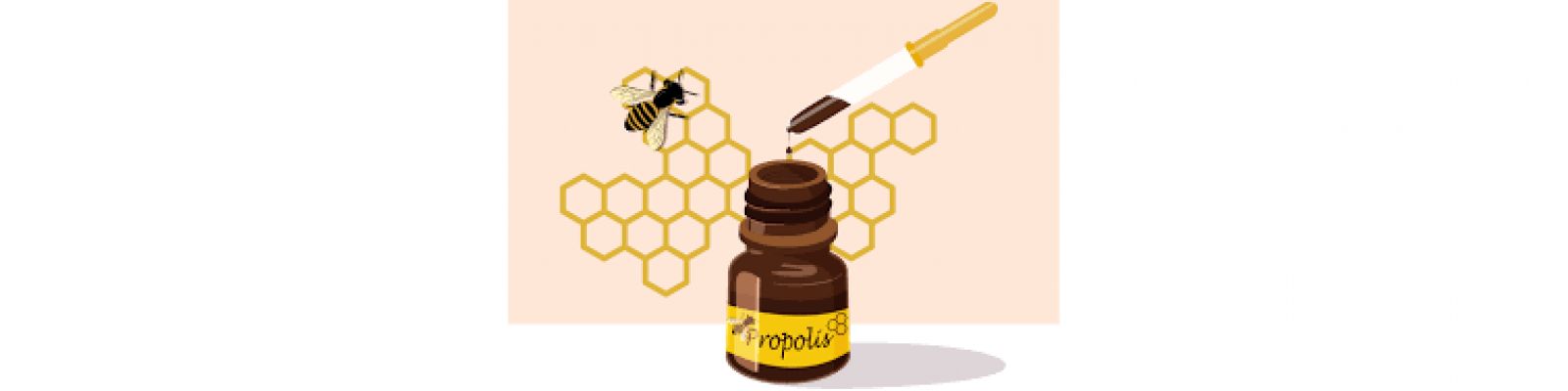 La propolis