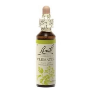 Bach flower remedie 09 clematis    20ml