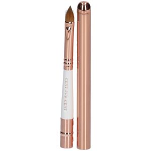 Lip Brush