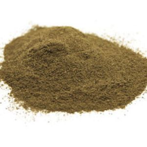 Basilic - poudre