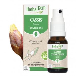 Herbalgem Cassis Bio Spray 15ml