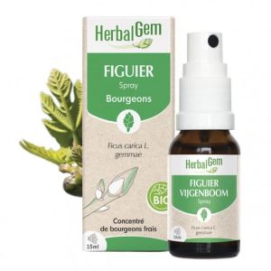 Herbalgem Figuier Bio Spray 15ml