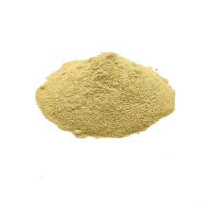 Ashwagandha - Ginseng indien - Poudre BIO