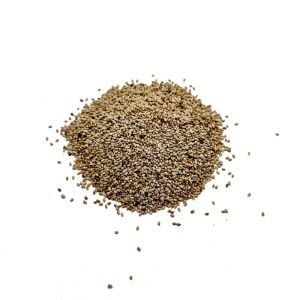 Chia blanche - graines - BIO