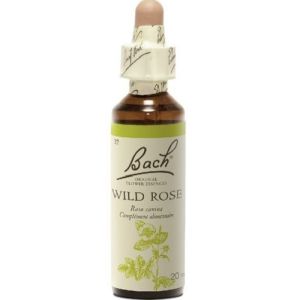 Bach flower remedie 37 wild rose    20ml