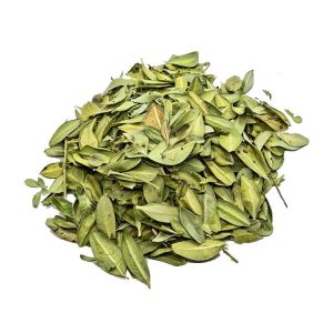 Buis - feuilles entières -