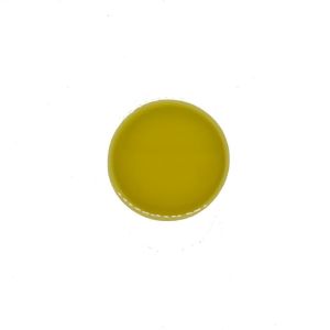Huile végétale du Dattier du désert - BIO - 100ml