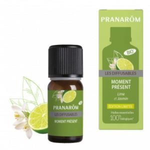 Les Diffusables Moment Present Melange Diff. 10ml