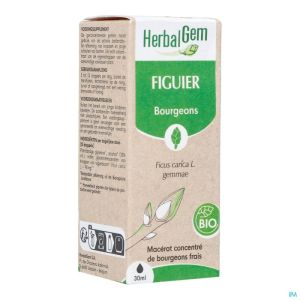 Herbalgem Figuier Bio 30ml