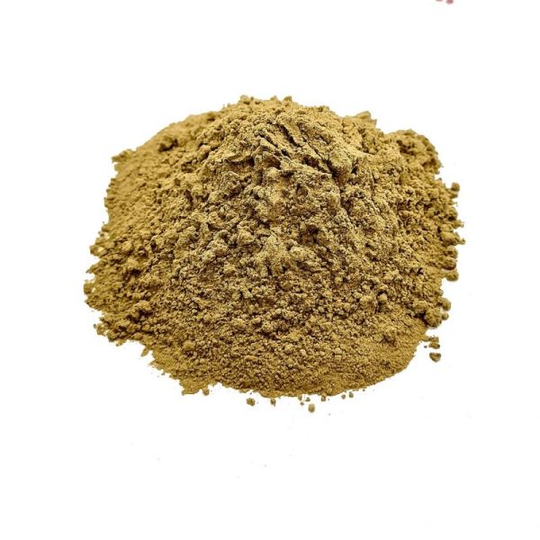 Actée à grappe - Cimicifuga - Poudre