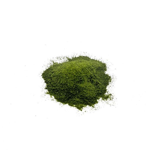 Moringa - Poudre