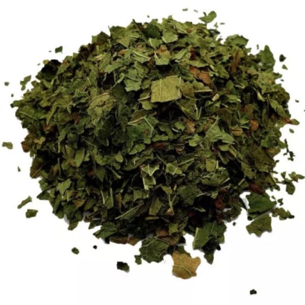 Cassis - feuilles coupées - BIO
