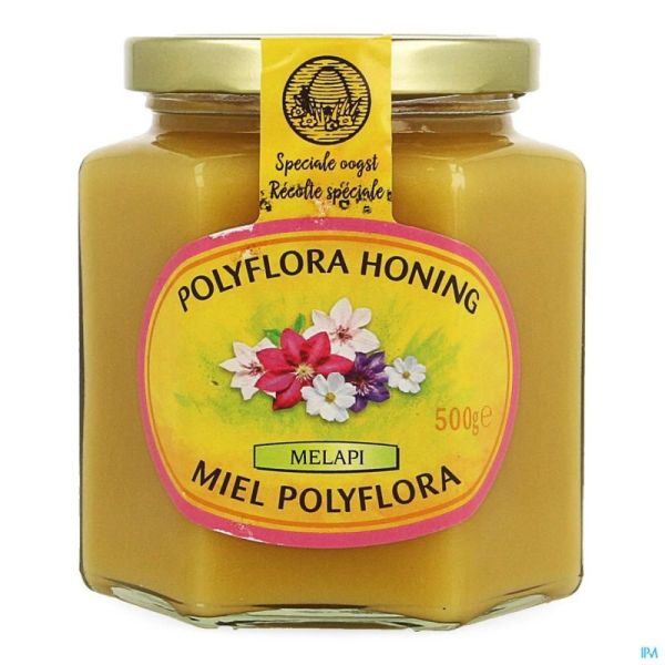 Melapi Miel Polyflora Tendre 500g 5531