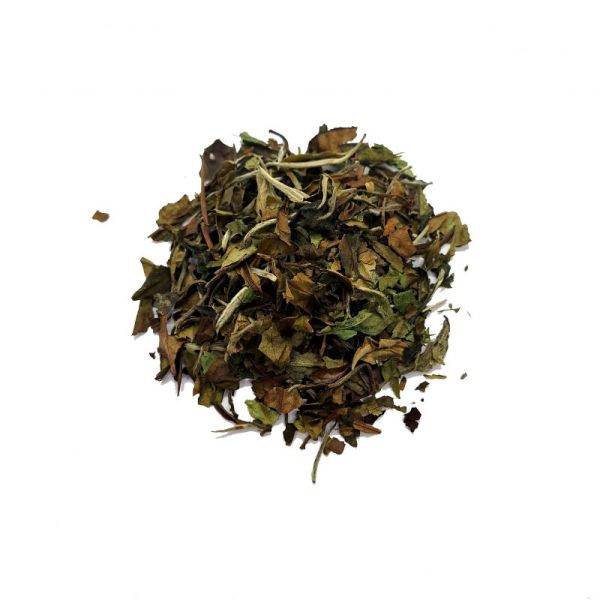 Thé blanc de Chine Bai Mu Dan - BIO