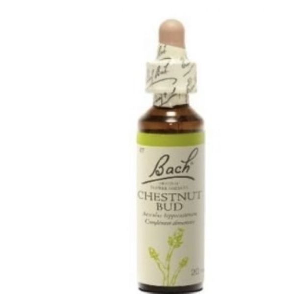 Bach flower remedie 07 chestnut bud   20ml