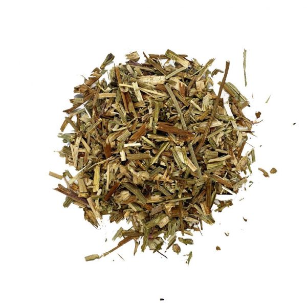 Chicorée -BIO- plante coupée