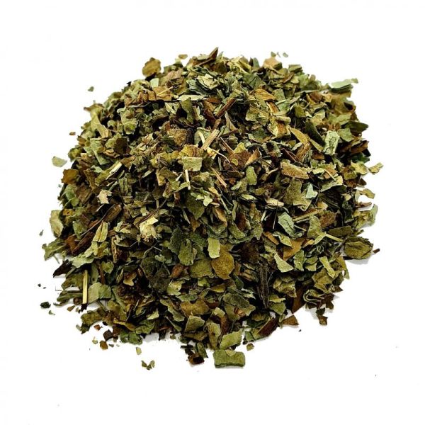 Pulmonaire officinale - plante coupée